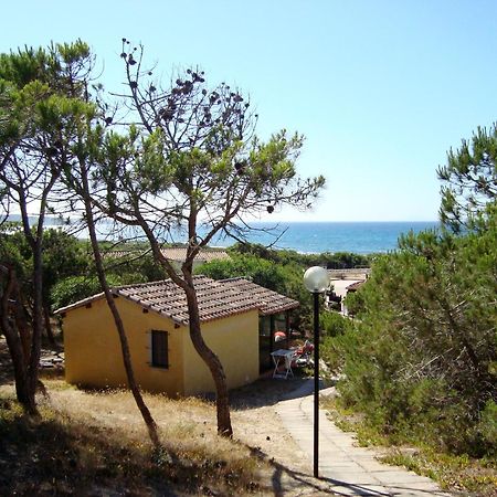 Camping Golfo Dell'Asinara Platamona Exteriér fotografie