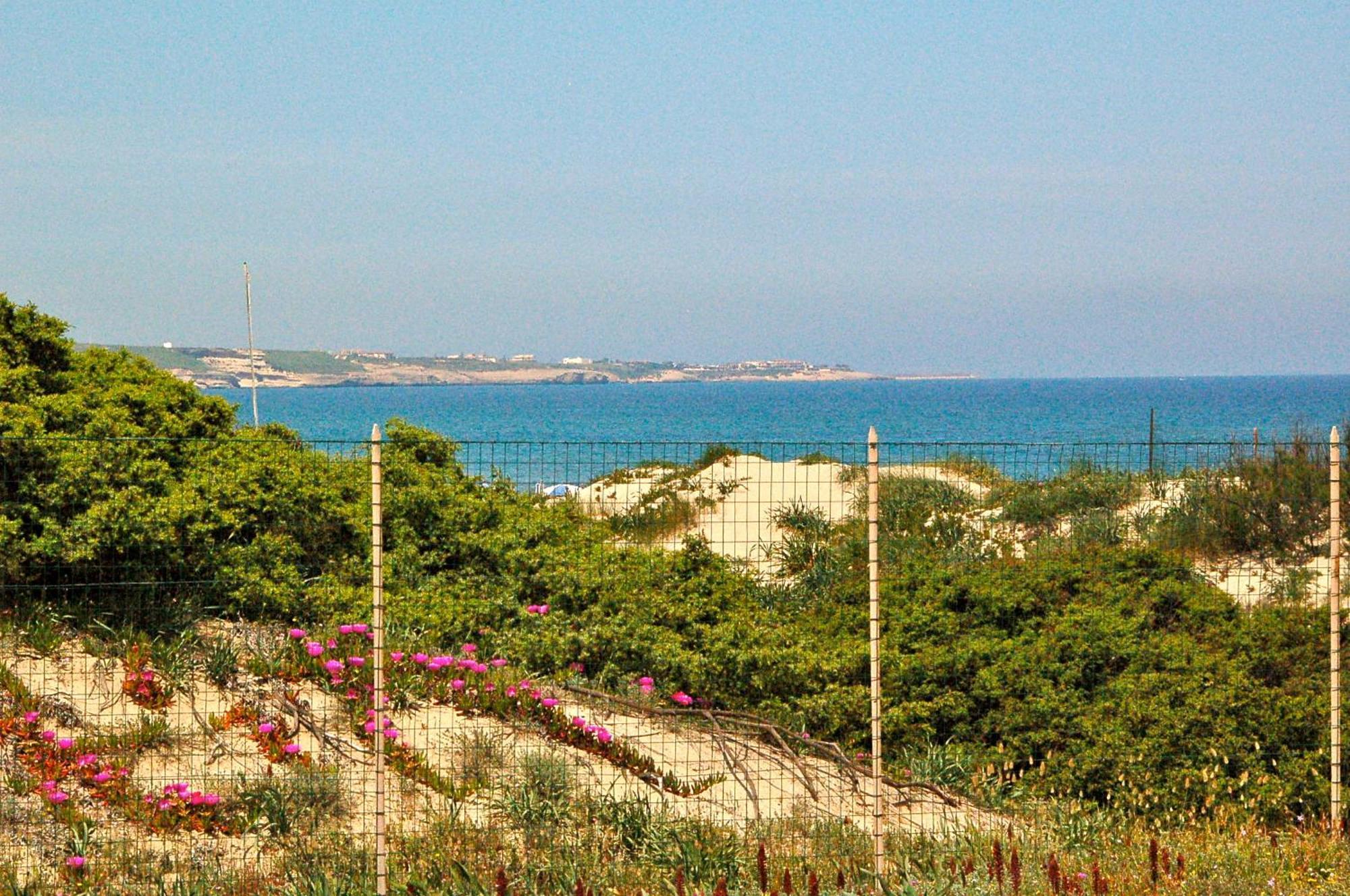 Camping Golfo Dell'Asinara Platamona Exteriér fotografie