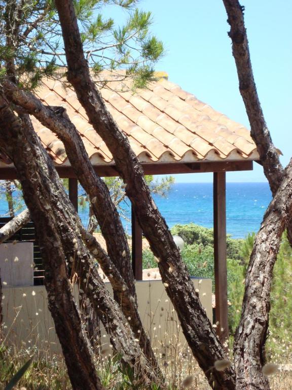 Camping Golfo Dell'Asinara Platamona Pokoj fotografie