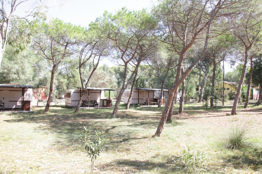Camping Golfo Dell'Asinara Platamona Pokoj fotografie